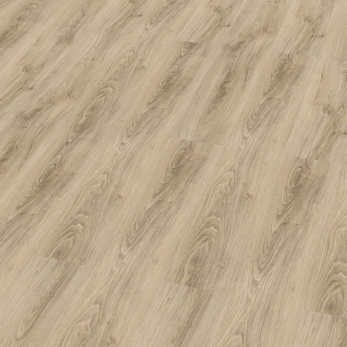 So viel Neues bei CHECK Floors