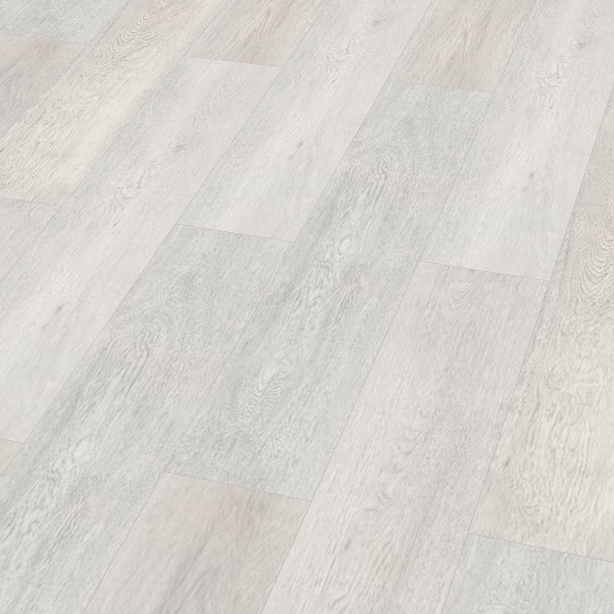 So viel Neues bei CHECK Floors