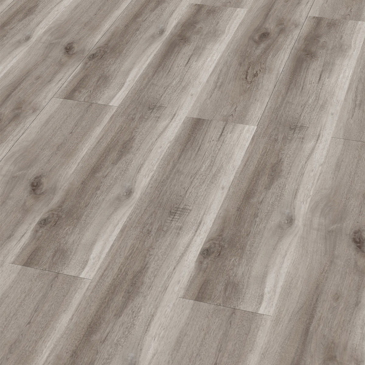So viel Neues bei CHECK Floors