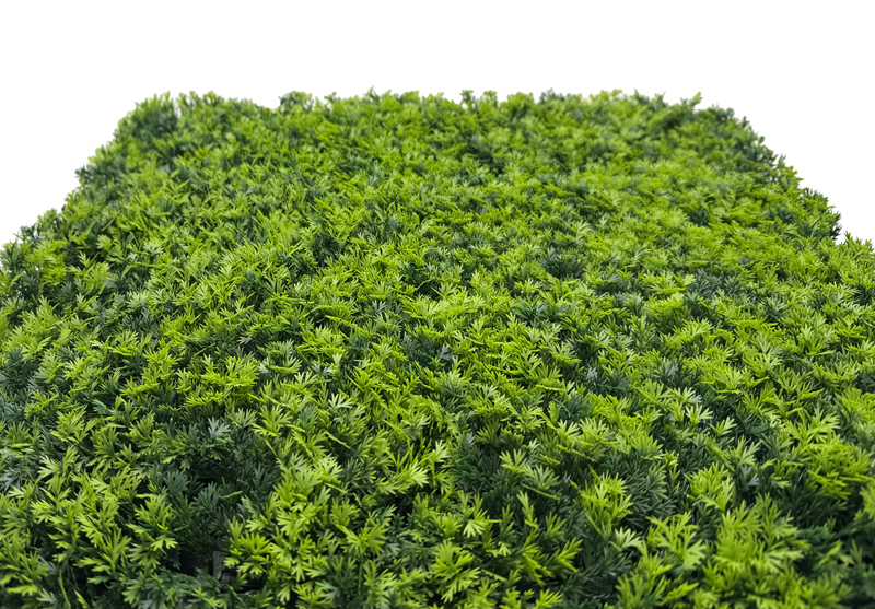 Wandpaneel Jangal Modular Wall 11120 Mixed Green Design Grass 52 x 52 cm
