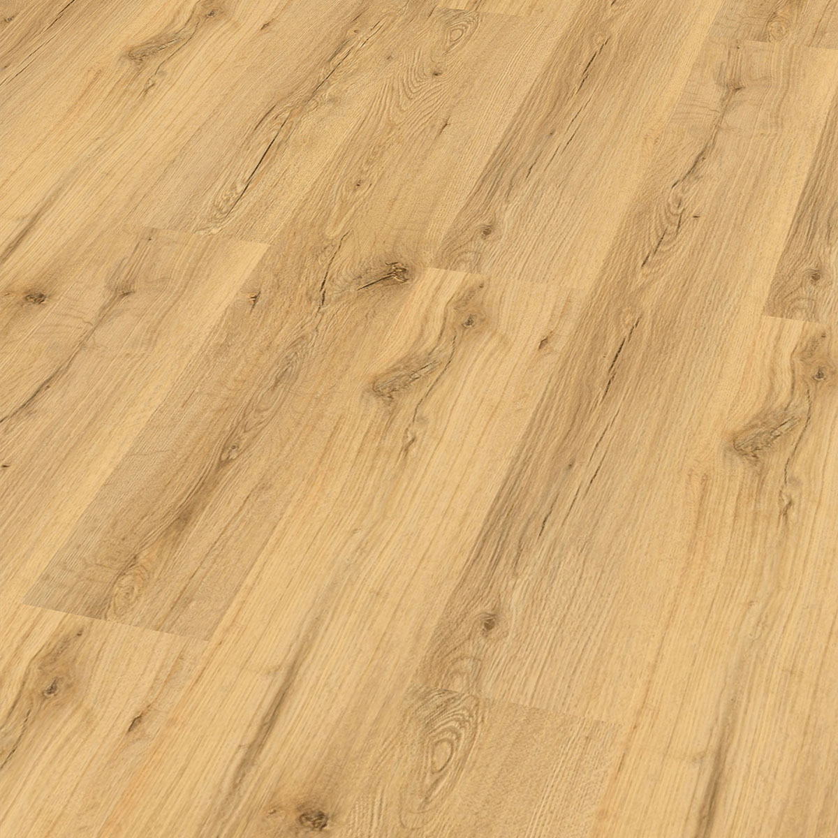 So viel Neues bei CHECK Floors
