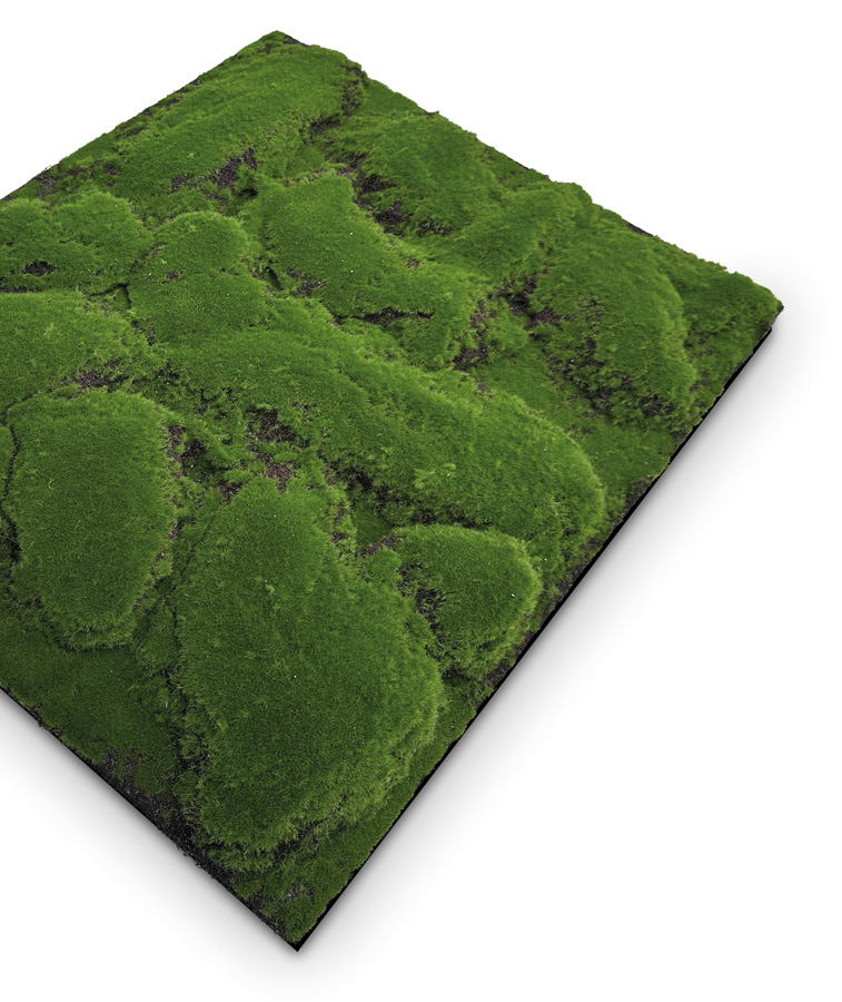 Wandpaneel Jangal Modular Wall 11109 forest green big bulk design moos 52 x 52 cm