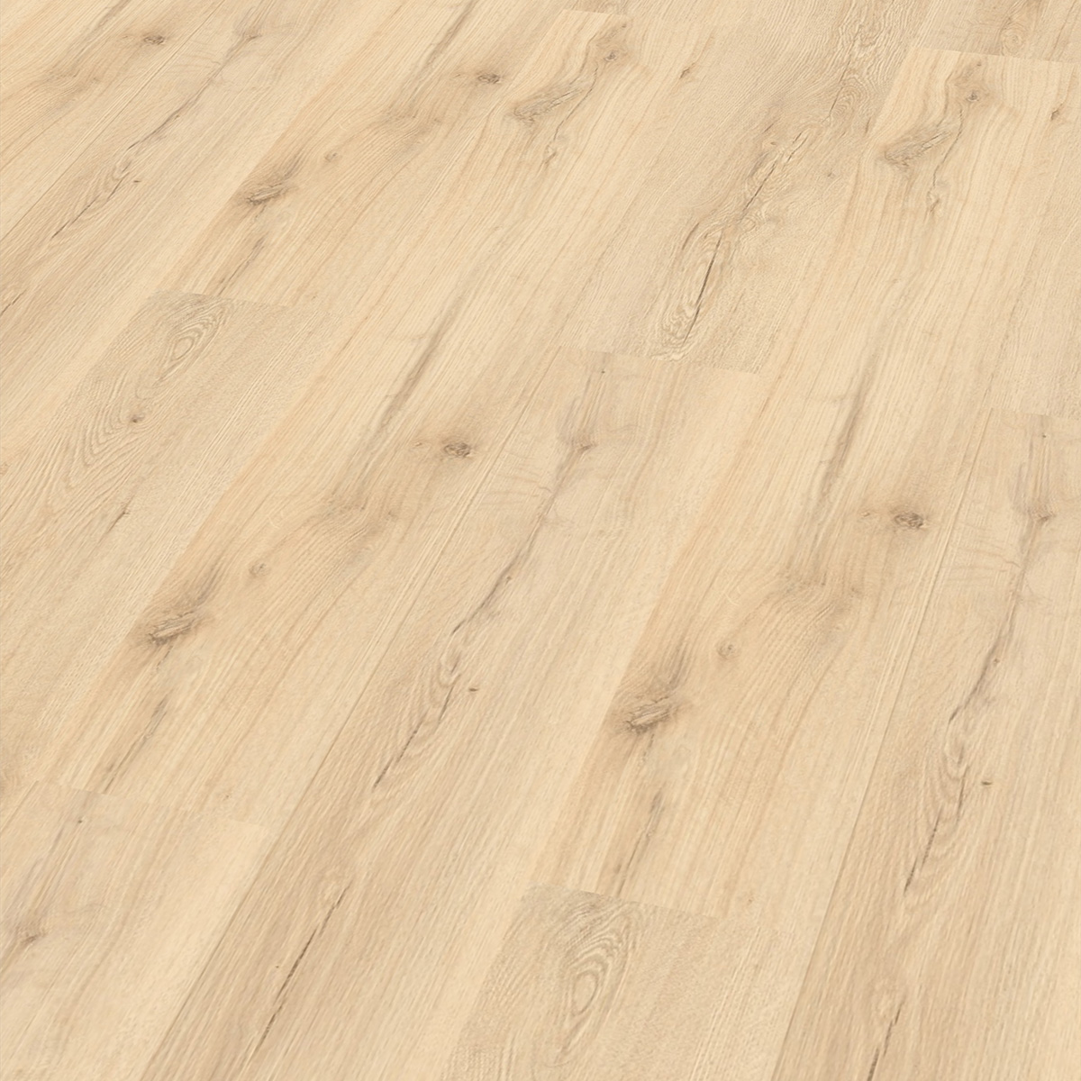 So viel Neues bei CHECK Floors
