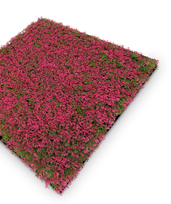 Wandpaneel Jangal Modular Wall 11114 Pink Design Grass 52 x 52 cm