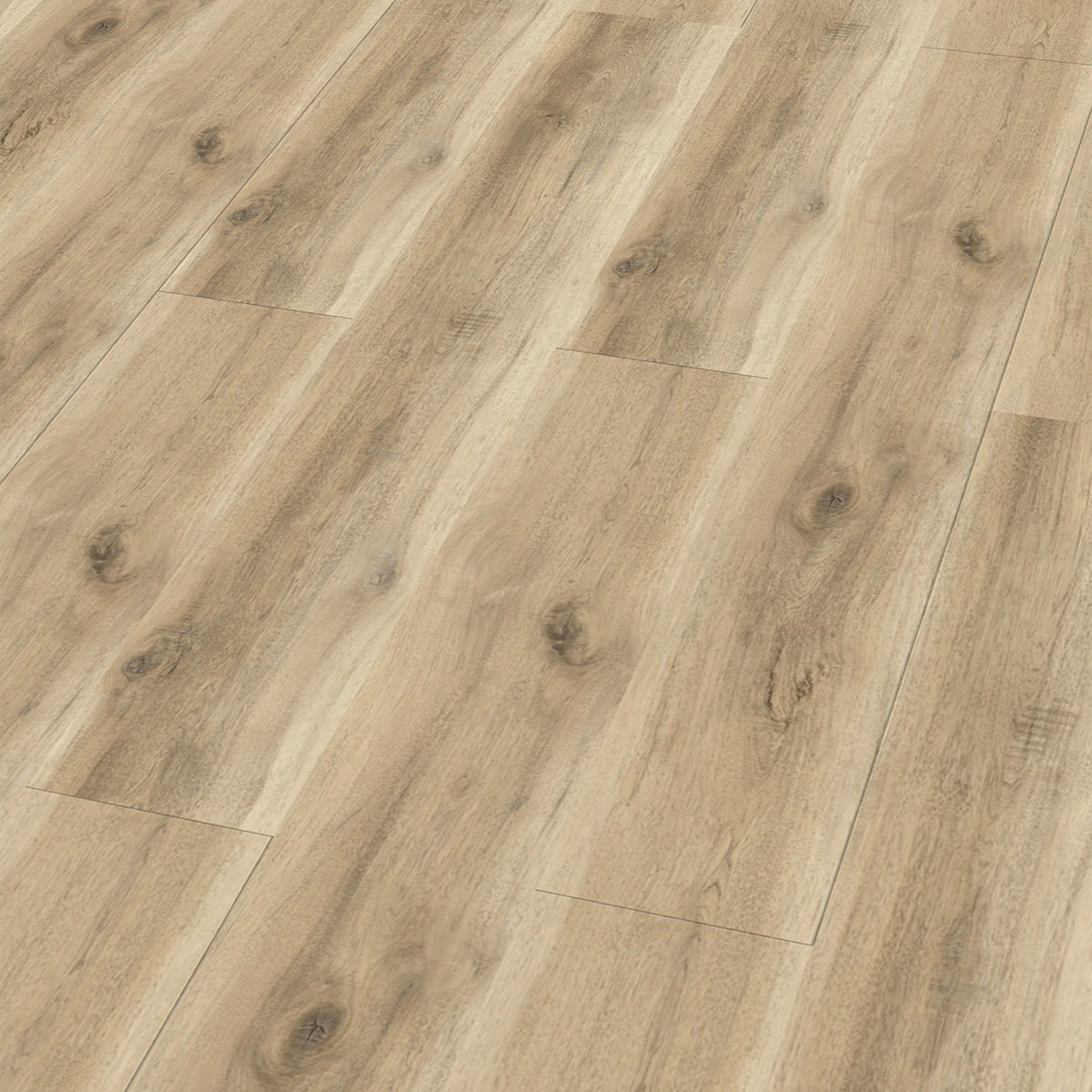 So viel Neues bei CHECK Floors