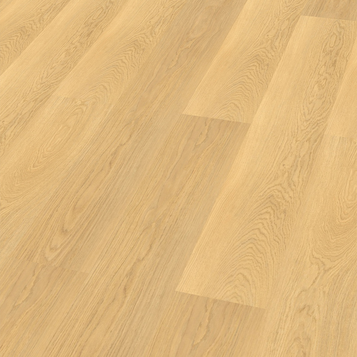 So viel Neues bei CHECK Floors