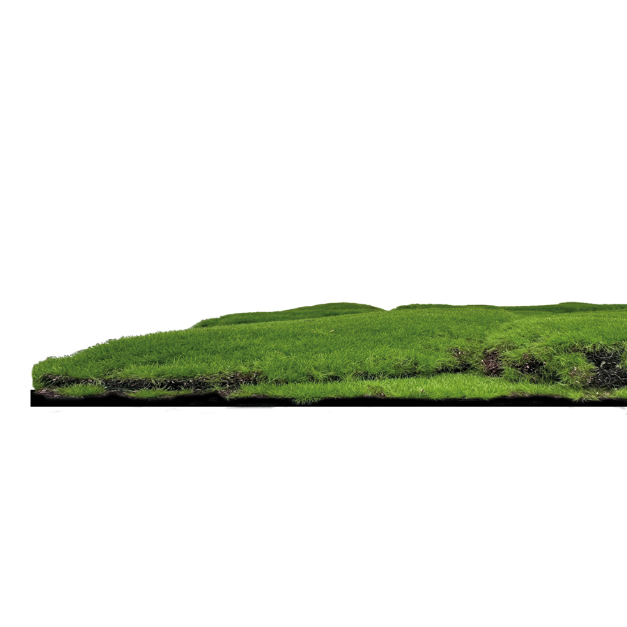Wandpaneel Jangal Modular Wall 11109 forest green big bulk design moos 52 x 52 cm