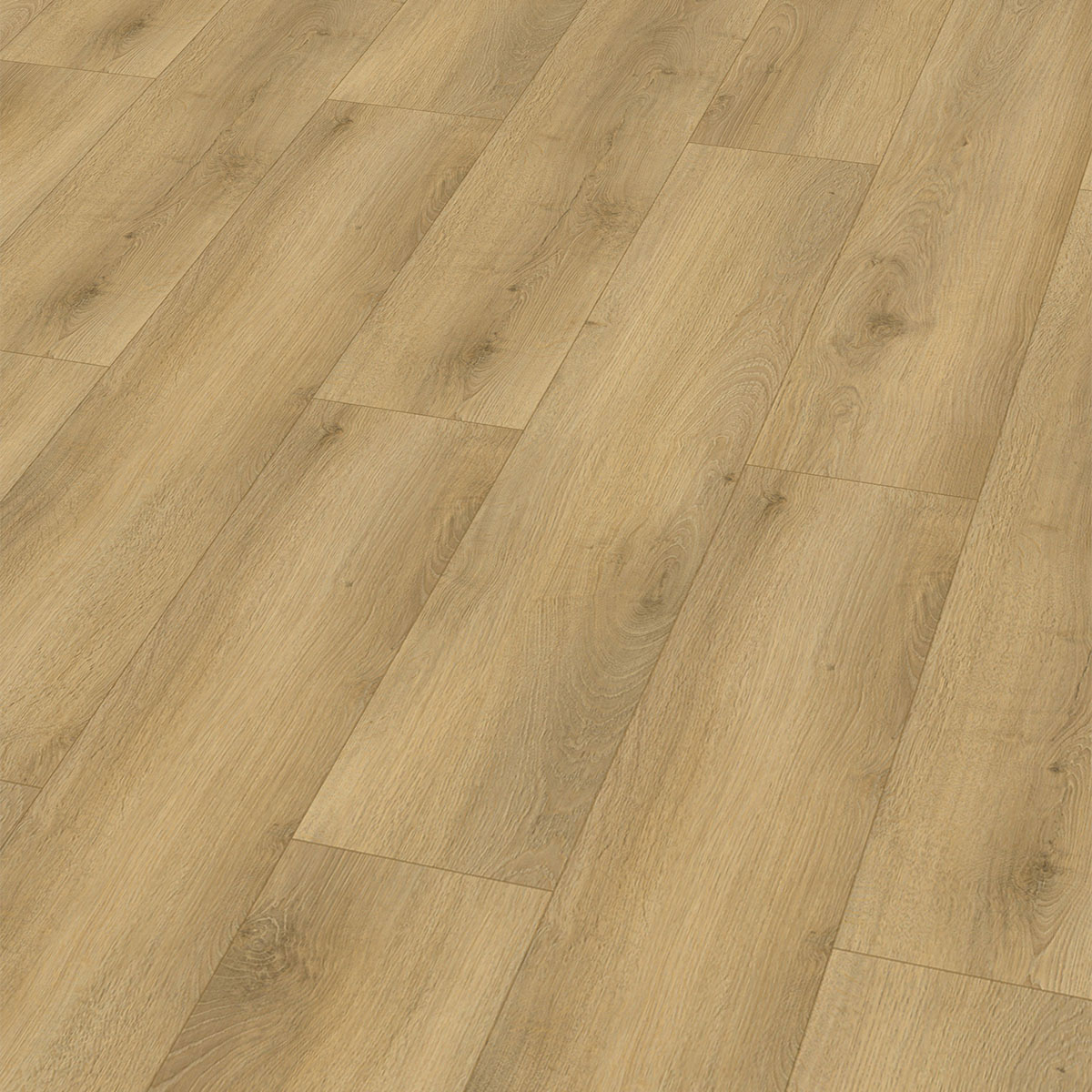 So viel Neues bei CHECK Floors