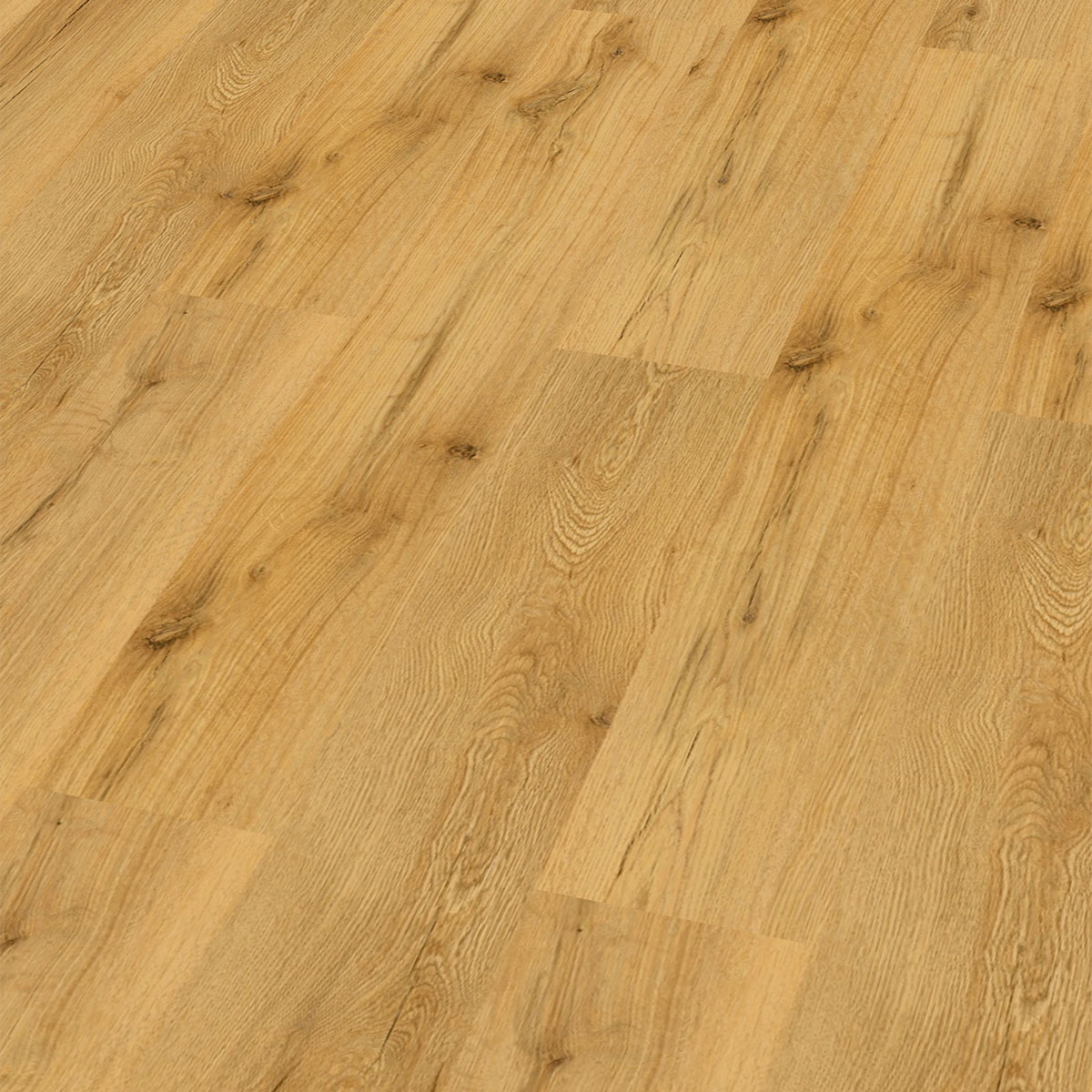 So viel Neues bei CHECK Floors