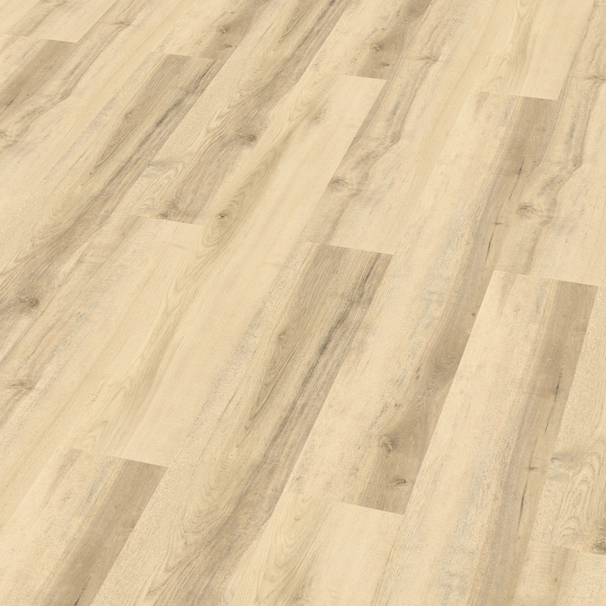 So viel Neues bei CHECK Floors