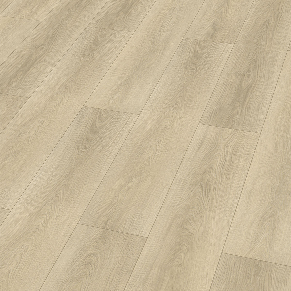 So viel Neues bei CHECK Floors