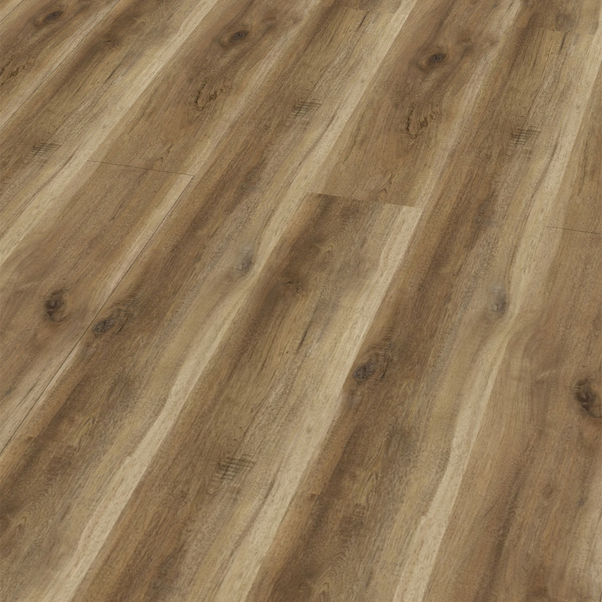 So viel Neues bei CHECK Floors