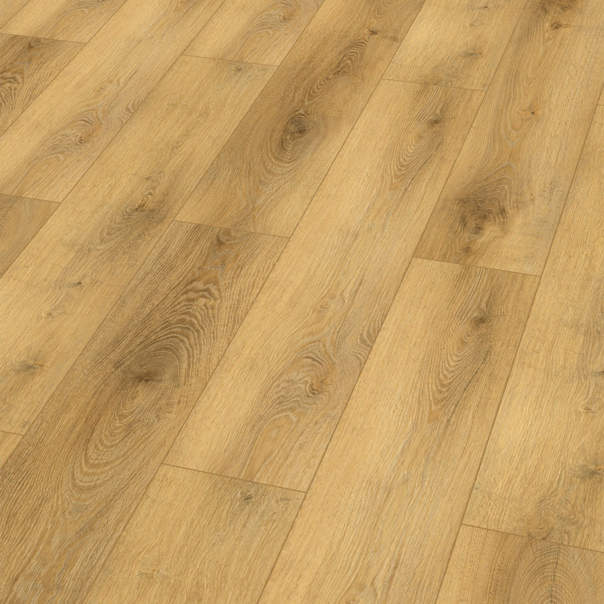 So viel Neues bei CHECK Floors