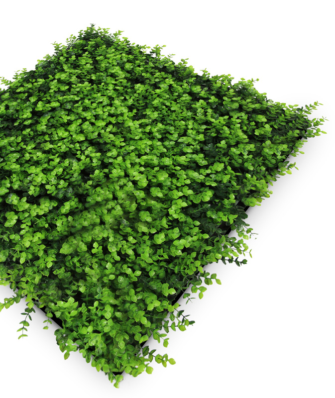 Wandpaneel Jangal Modular Wall 11112 Mixed Green Design Buxus 52 x 52 cm