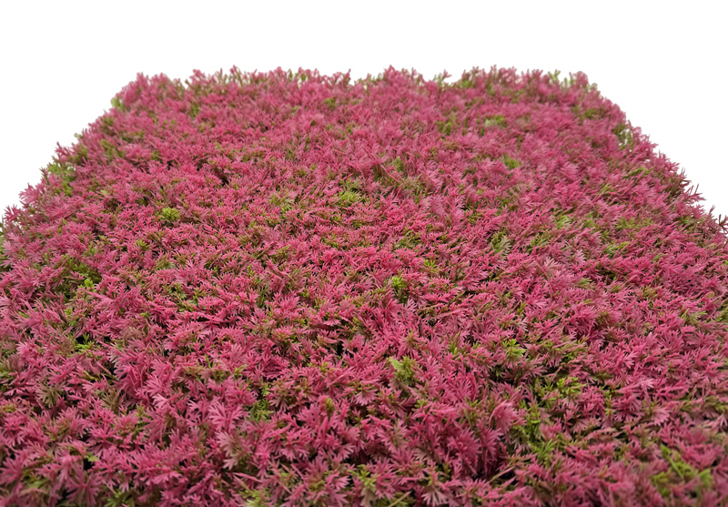 Wandpaneel Jangal Modular Wall 11114 Pink Design Grass 52 x 52 cm