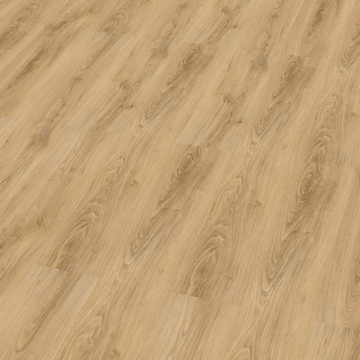 So viel Neues bei CHECK Floors