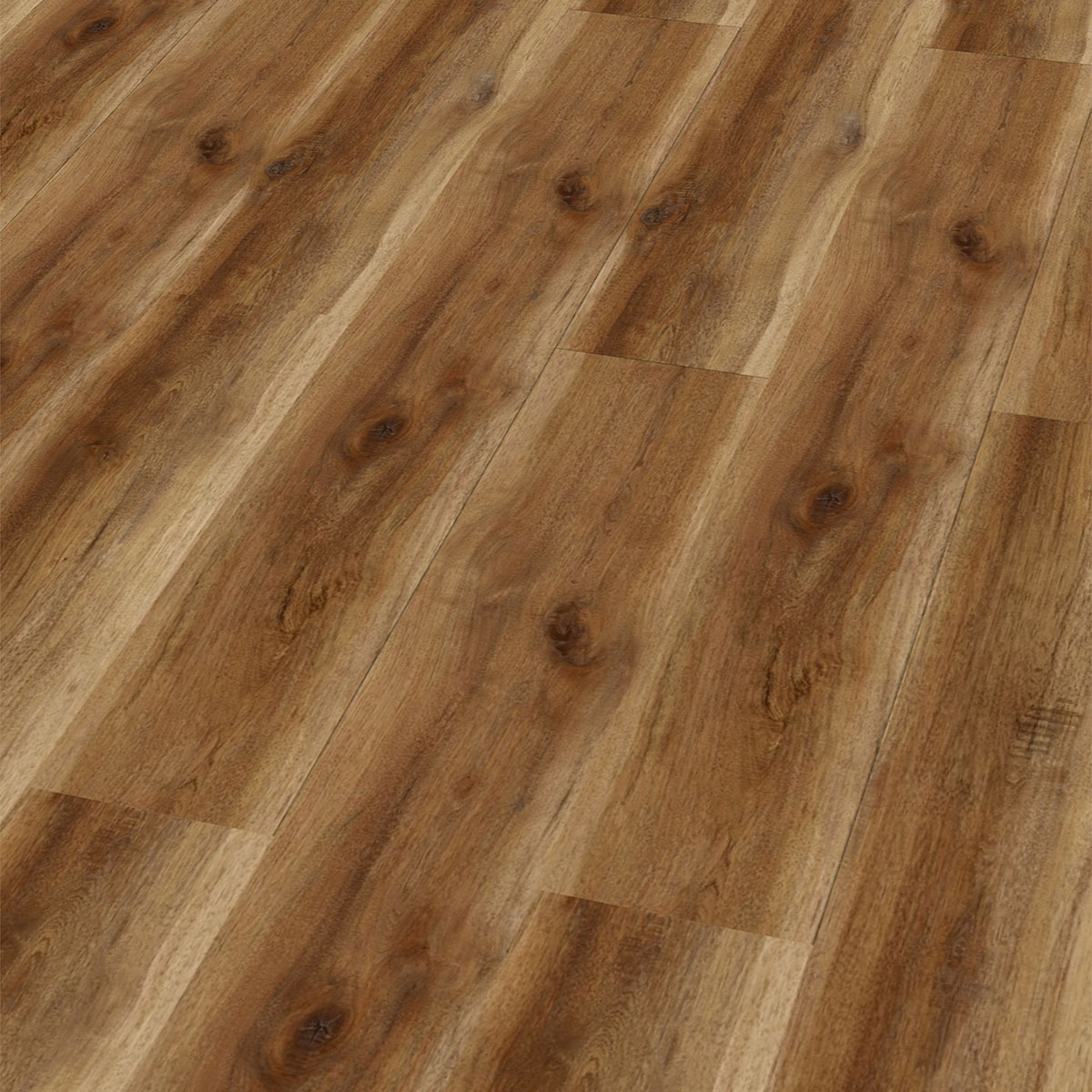 So viel Neues bei CHECK Floors