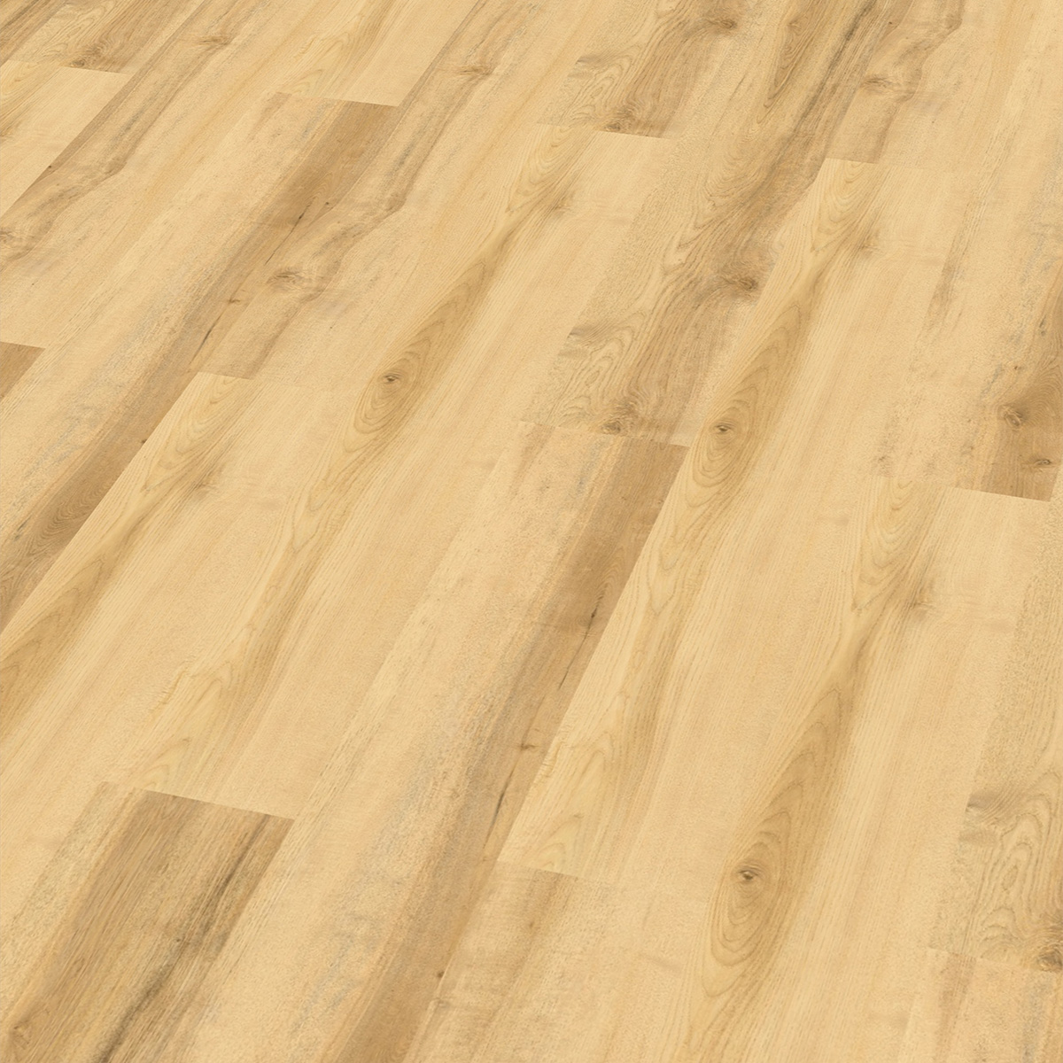 So viel Neues bei CHECK Floors