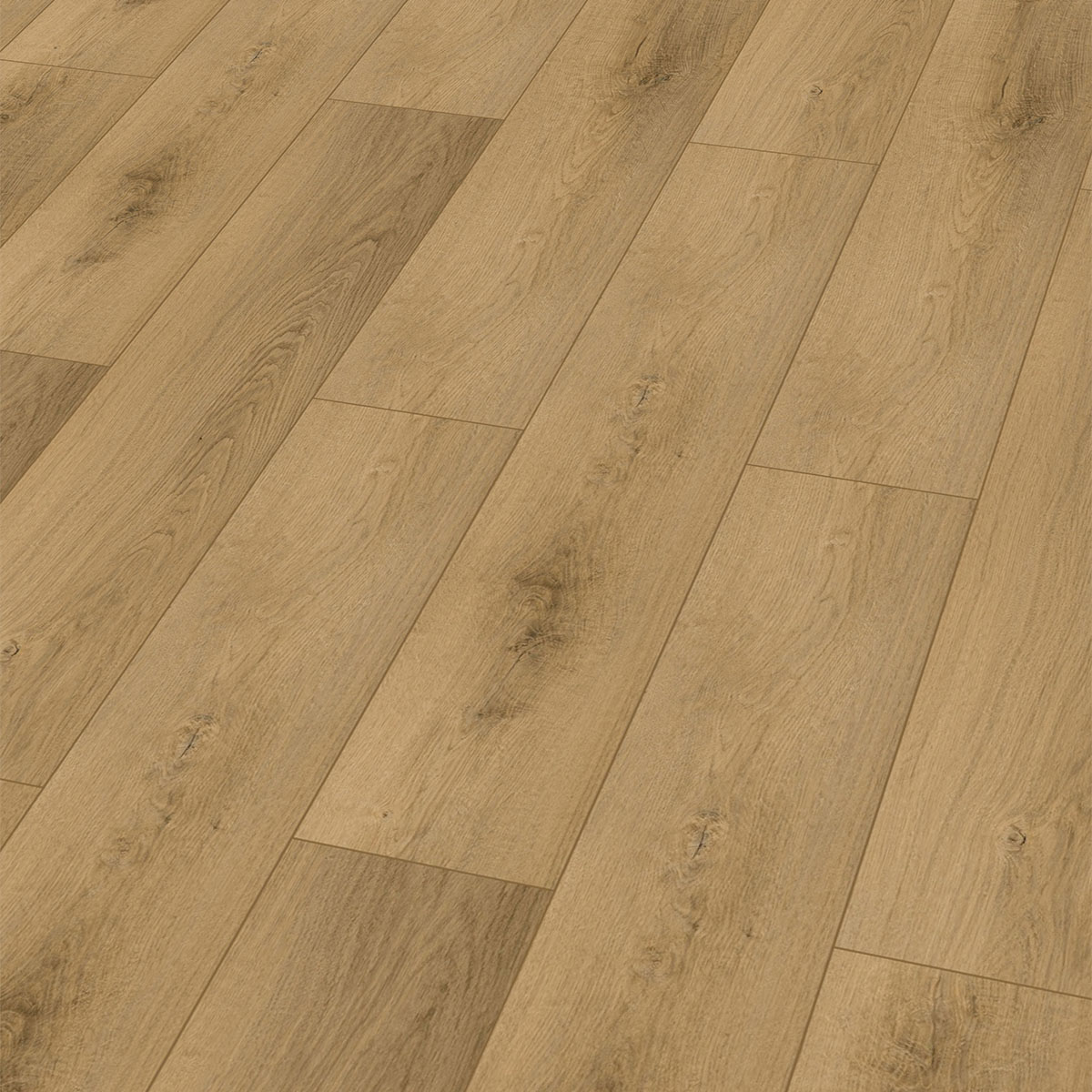 So viel Neues bei CHECK Floors