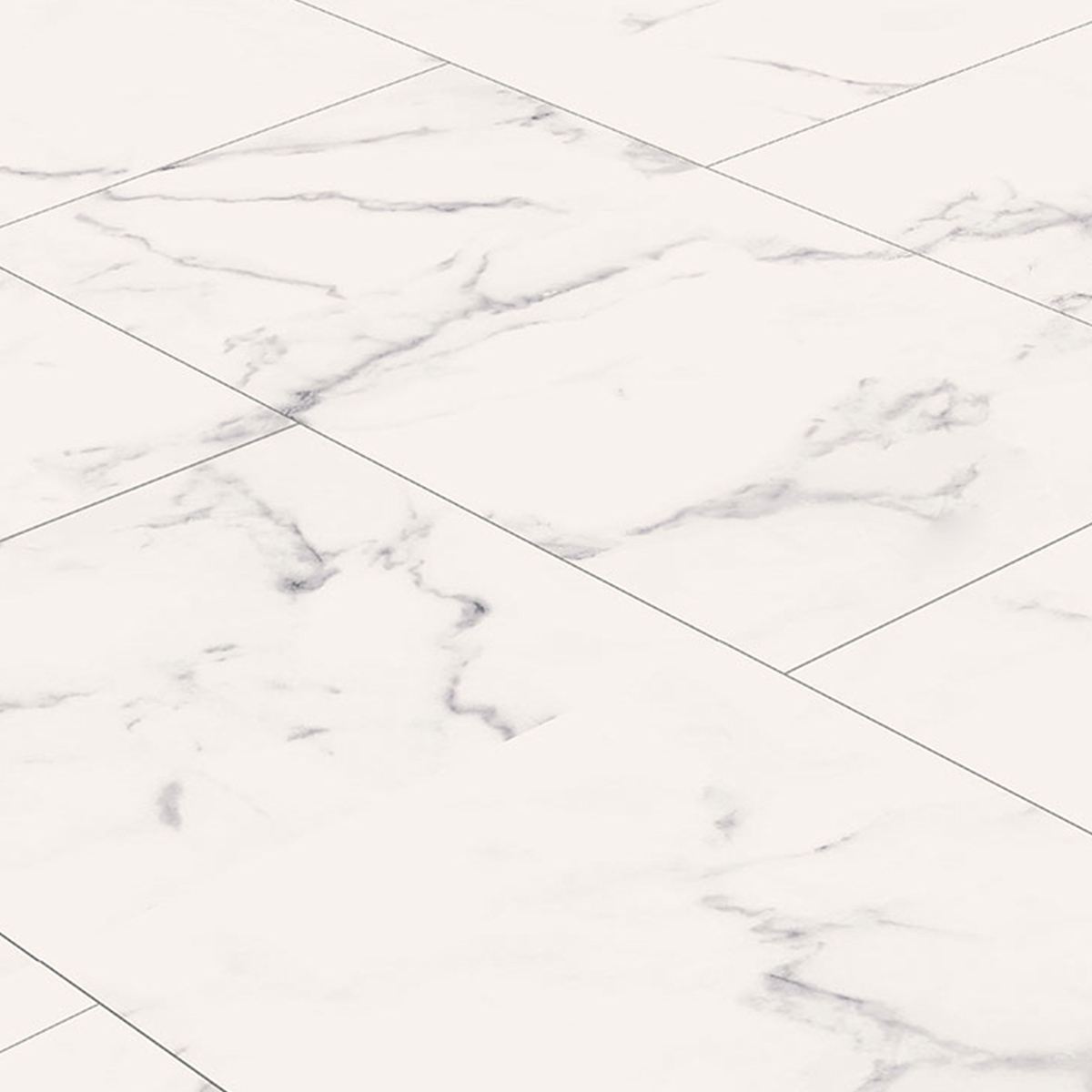 So viel Neues bei CHECK Floors