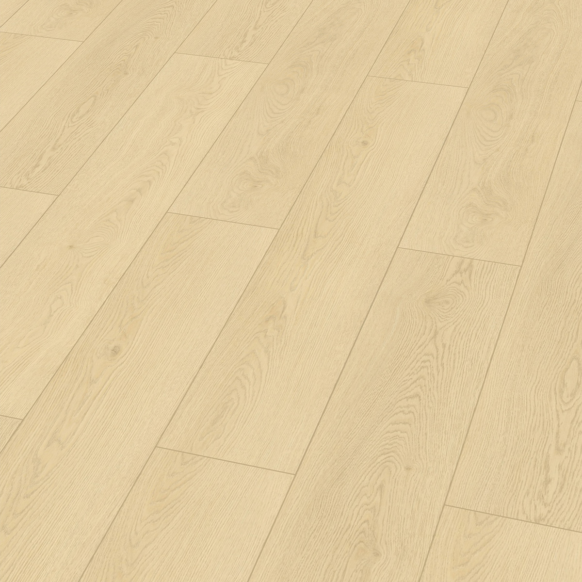 So viel Neues bei CHECK Floors