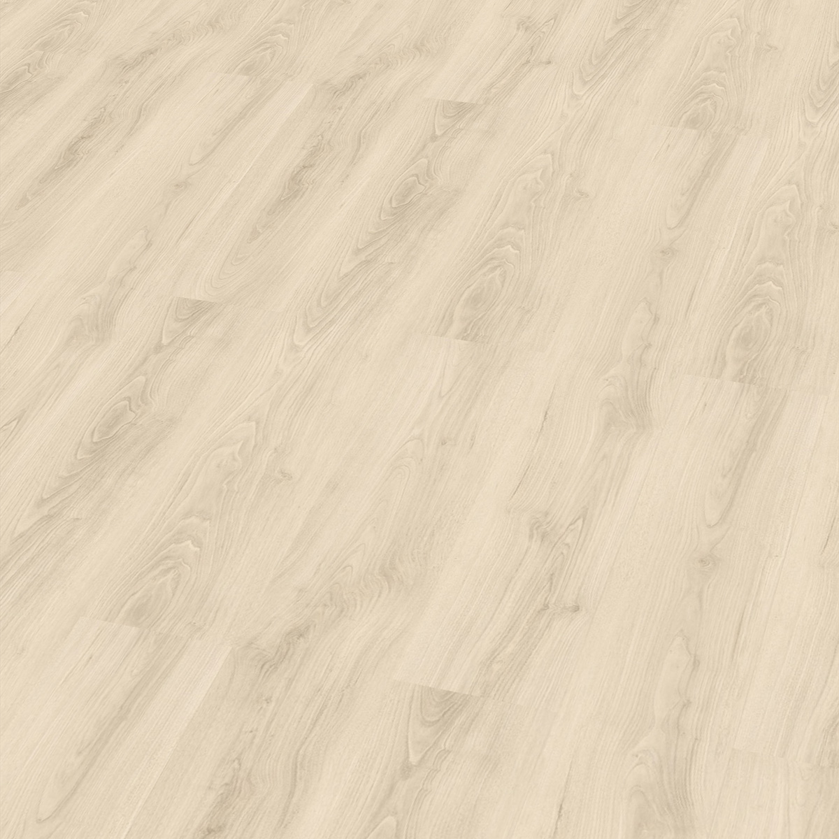 So viel Neues bei CHECK Floors