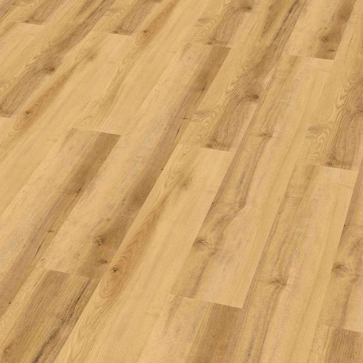 So viel Neues bei CHECK Floors